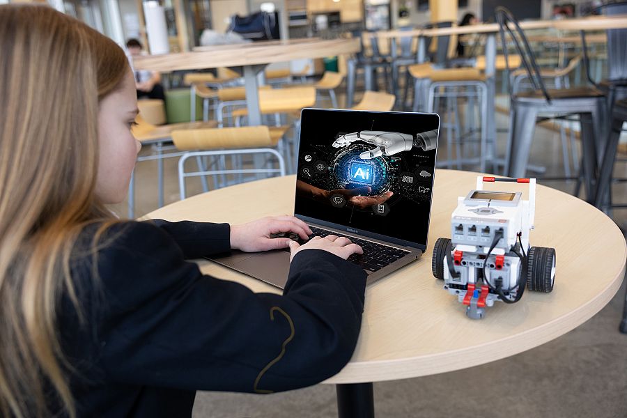 How Will We Respond to the AI Revolution